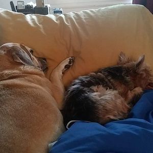 Meet your Posher, Colleen